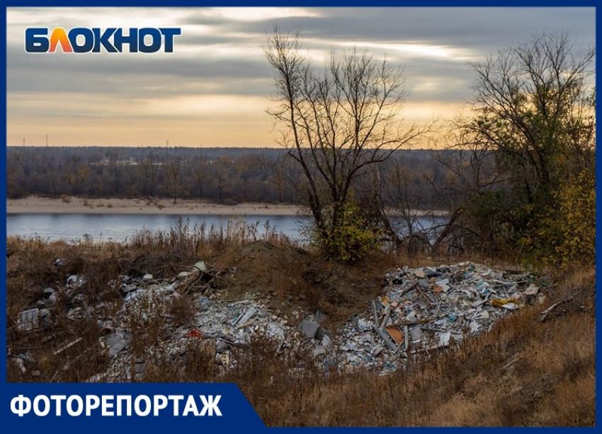 "Высотки и парки": в Волгограде задумали огромную стройку среди руин тракторного завода