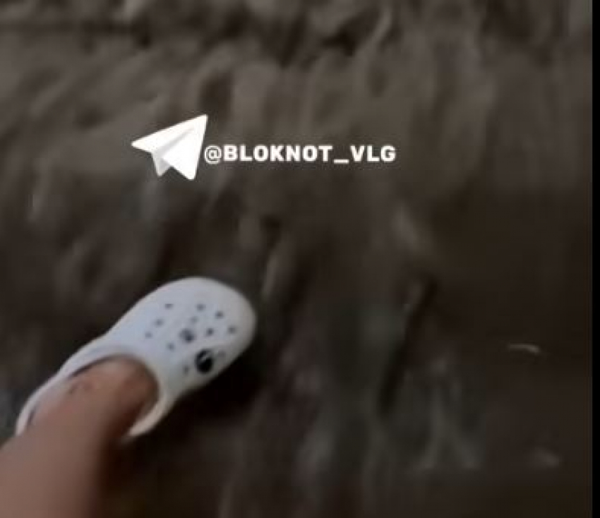 «Лови волну» по-волгоградски: последствия мощного ливня попали на видео 