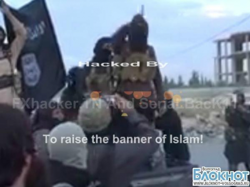 Сайт волгоградского издательства «ПринТерра-Дизайн» взломали хакеры-исламисты