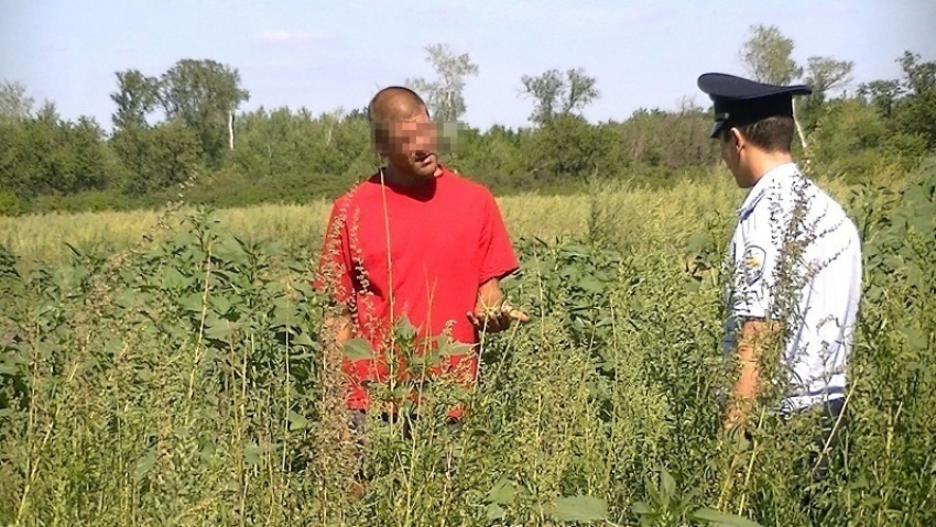 Волжанин в Камышине заставил 15-летнего мальчика жарить на костре коноплю