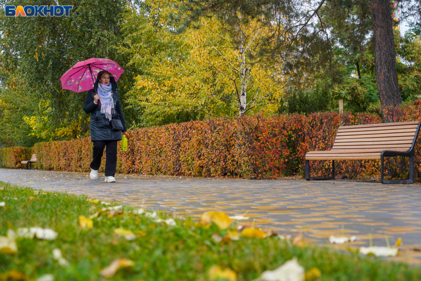 Зиму Волгоград встретит без морозов: синоптики дали прогноз до конца ноября