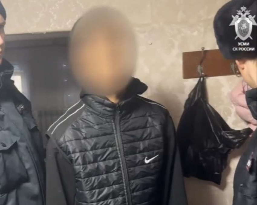  15-летний подросток подозревается в жестоком убийстве женщины под Волгоградом