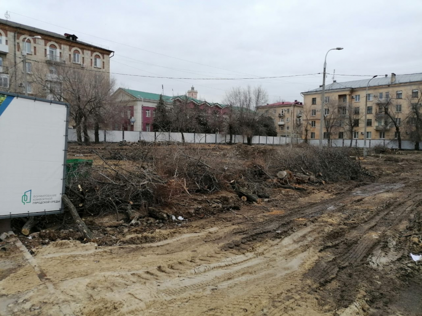 Волгоградца шокировала тотальная вырубка деревьев при реконструкции Сурского сквера