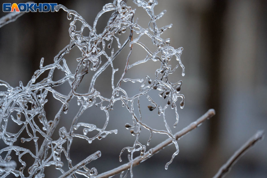 Морозами −23º провожают волгоградцы новогодние праздники