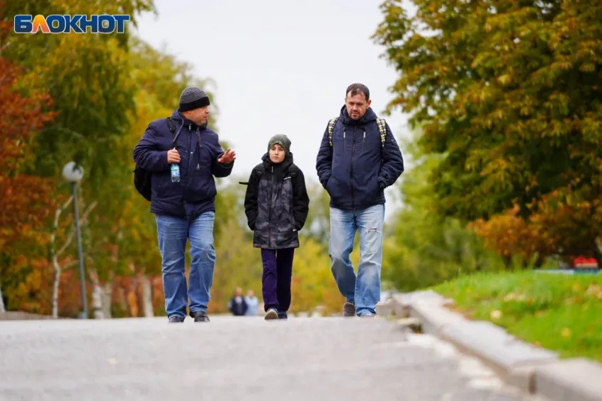 В Волгоградской области 1 ноября будет дождливо и пасмурно 