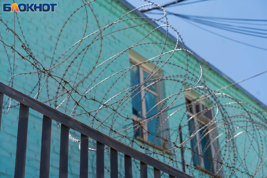 Извинения не помогли: в Волгограде арестовали пятерых гонщиков свадебного кортежа 