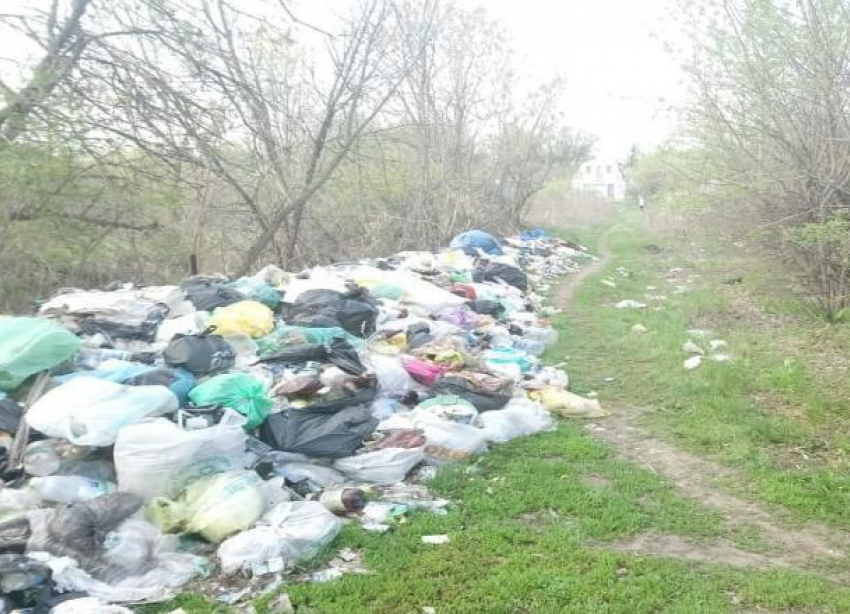 Горы мусора на острове Сарпинском показал волгоградский общественник