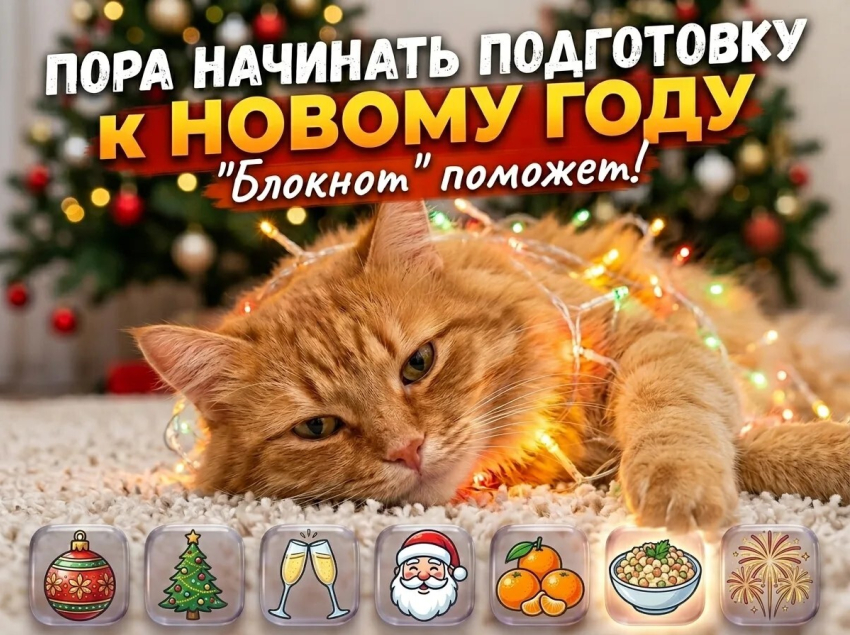 Если хотите идеальный Новый год, начинайте подготовку уже сейчас
