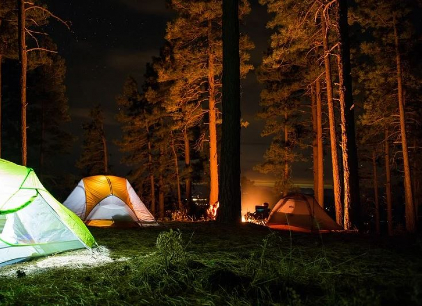 Флешмоб с ночевкой в палатках пройдет в Волго-Ахтубинской пойме 