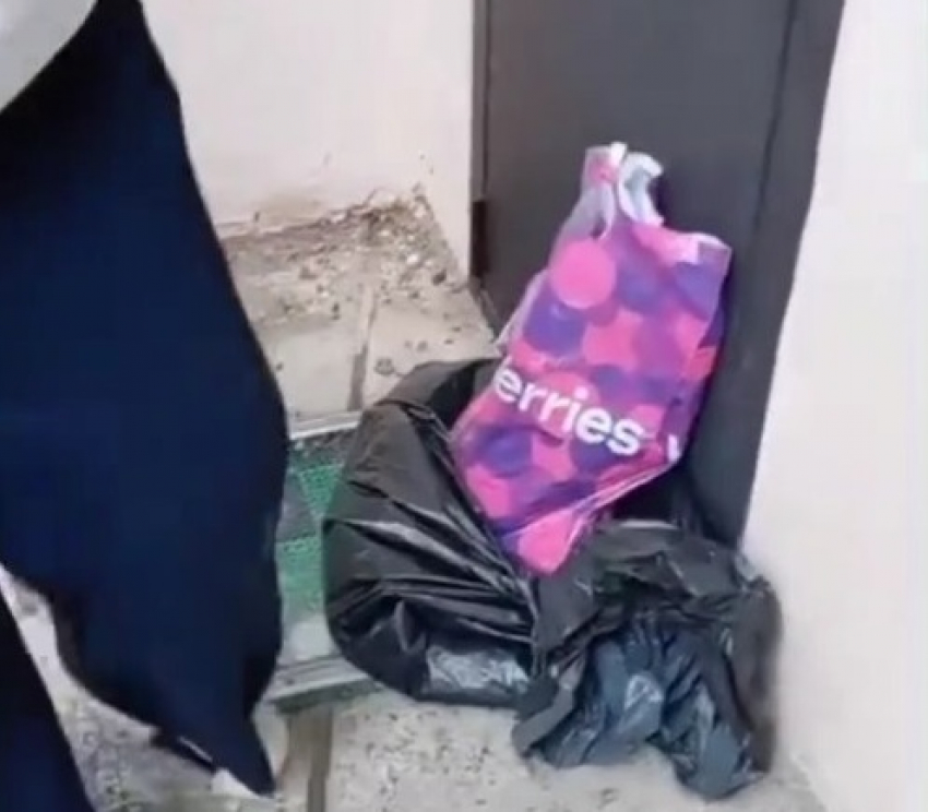 Мешки с гнилыми грушами подбросили волгоградской УК в отместку за покусанных осами детей