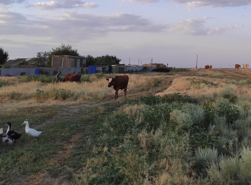 Пенсионер умер после падения с сарая в Волгоградской области