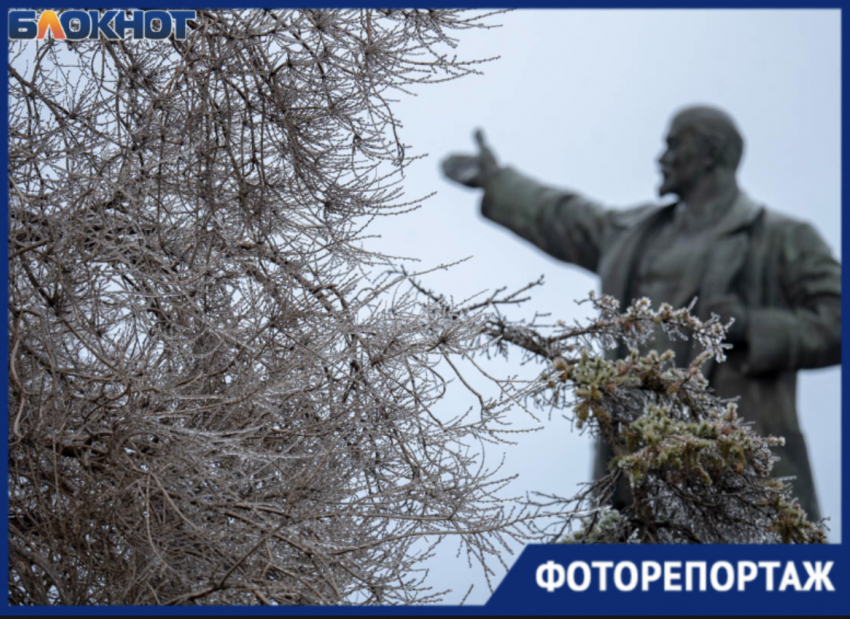  Ледяной дождь повалил деревья в Волгограде: фоторепортаж со скользких улиц 