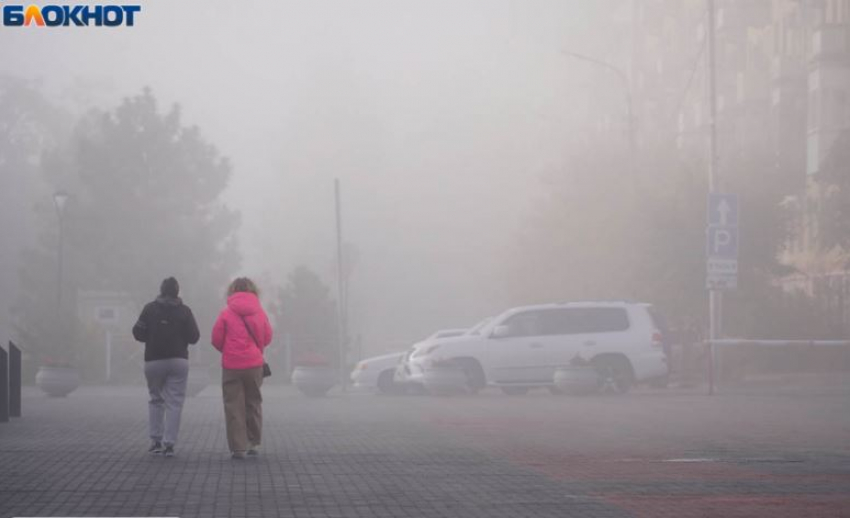 Нулевая продольная станет пешеходной 1 февраля в Волгограде