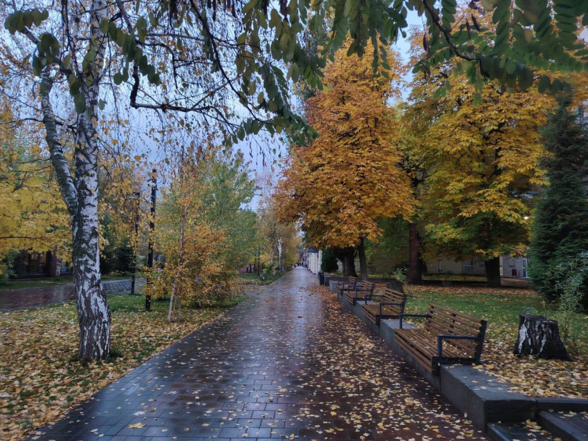 Мэрия объявила о завершении озеленения и благоустройства Горсада