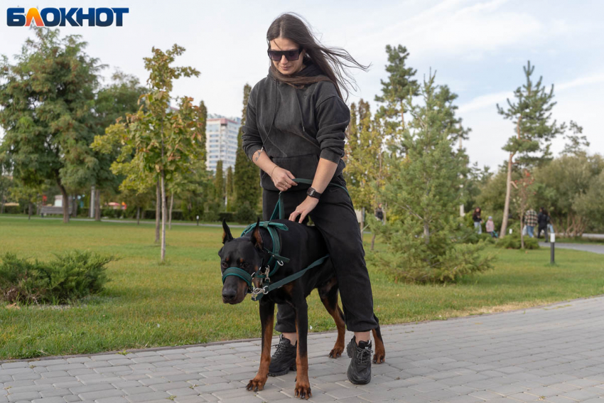 Осадки, ветер и туман ожидаются в Волгограде 28 октября