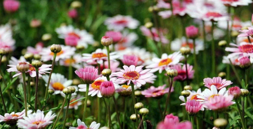 В Волгограде установилась теплая погода