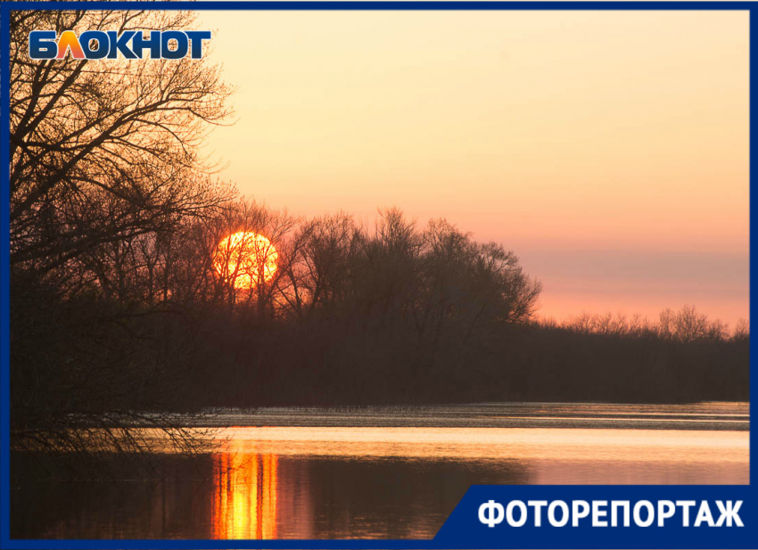 Шикарные виды наполненной водой поймы испортили мусором волгоградцы