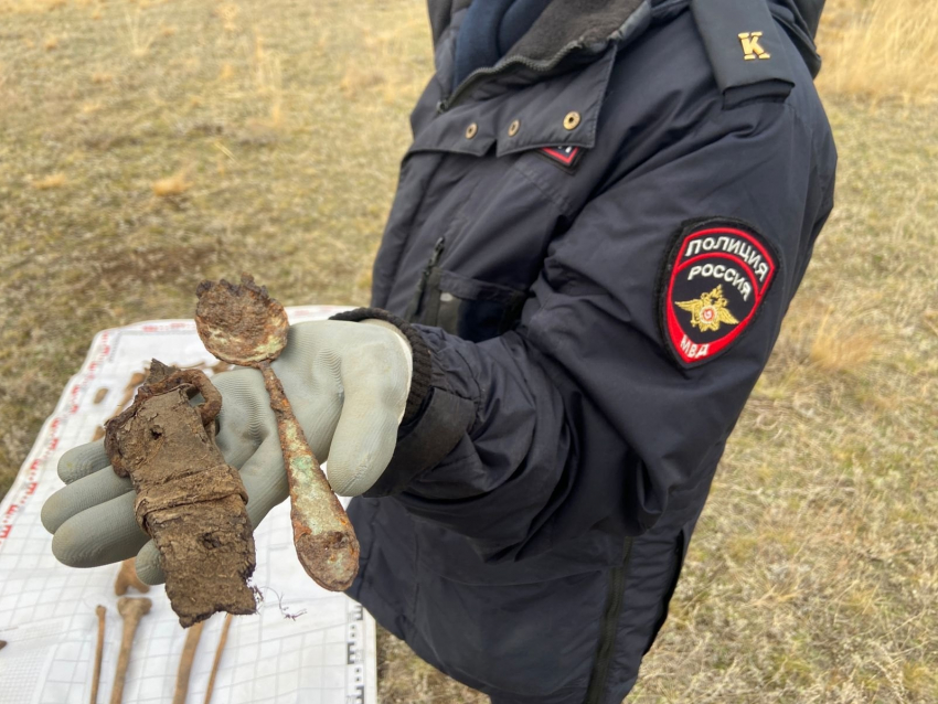 Останки советского воина выкопали из могилы под Волгоградом 