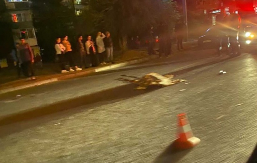 Волгоградку насмерть сбил Hyundai на переходе у «Ашана»