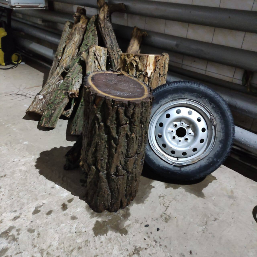 Из волгоградской канализации вытащили  автомобильное колесо и спиленное дерево