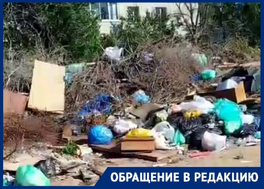 Свалку с разлагающимися трупами собак пять лет требуют убрать в Волгограде