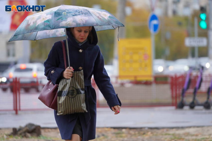 Сильный дождь накроет Волгоград 9 ноября