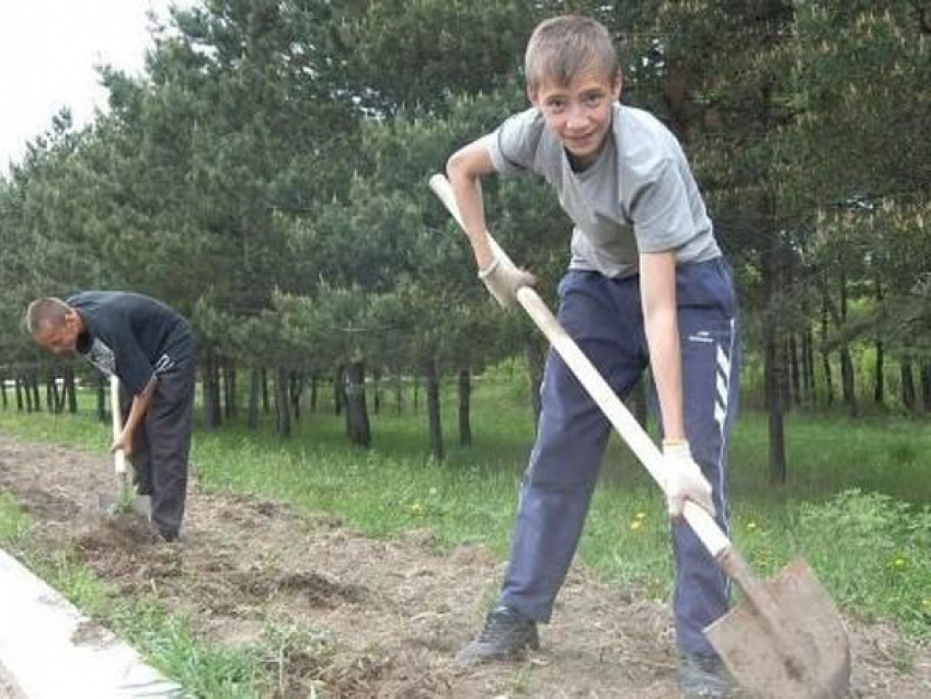 Более 7 тысяч волгоградских школьников нашли работу на время каникул