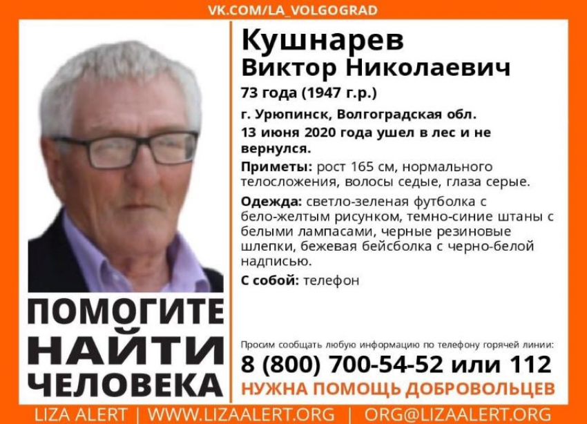 Ушел в лес и не вернулся: в Волгоградской области ищут 73-летнего пенсионера
