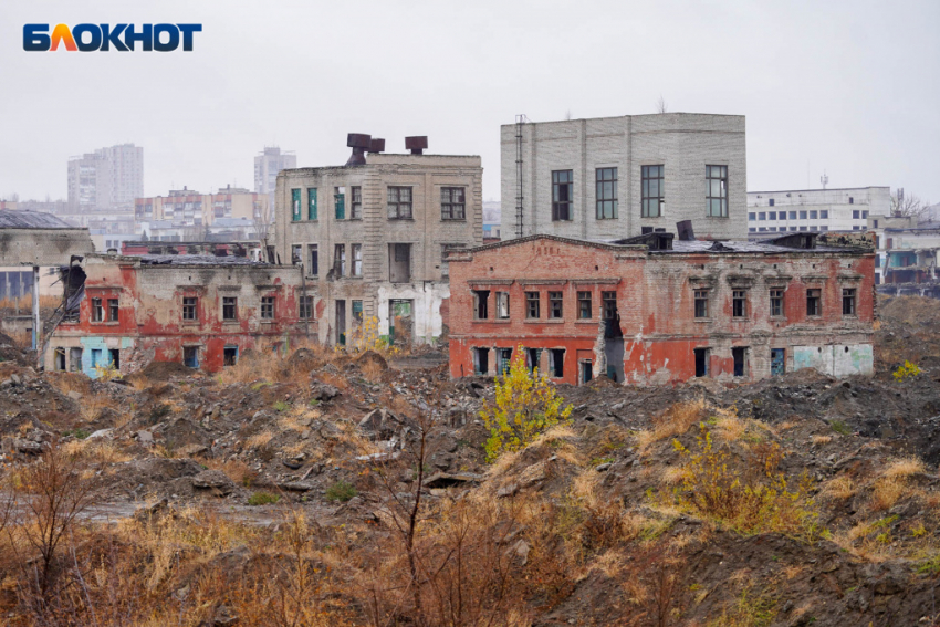 Статусный волгоградец назвал общую проблему большинства промышленников: а потом жалуются, что некому работать