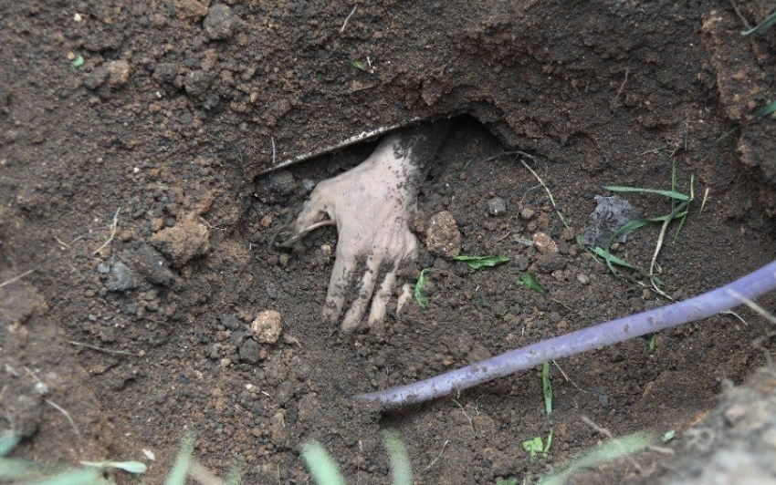 В Волгограде убийцы заставили жертву рыть себе могилу и заживо его похоронили 