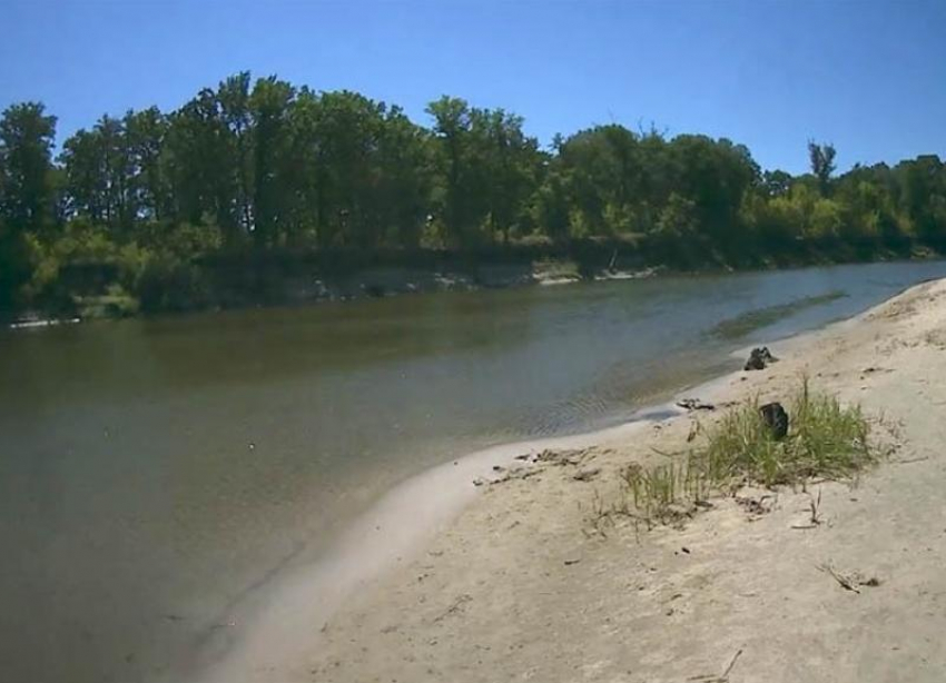 Какая река в Волгоградской области не превратилась в отстойник, рассказал общественник