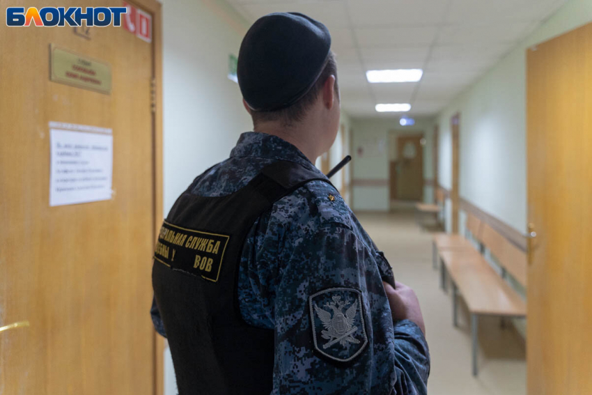 Хозяйка лайки, разорвавшей лицо 9-летнему, завралась на суде под Волгоградом 