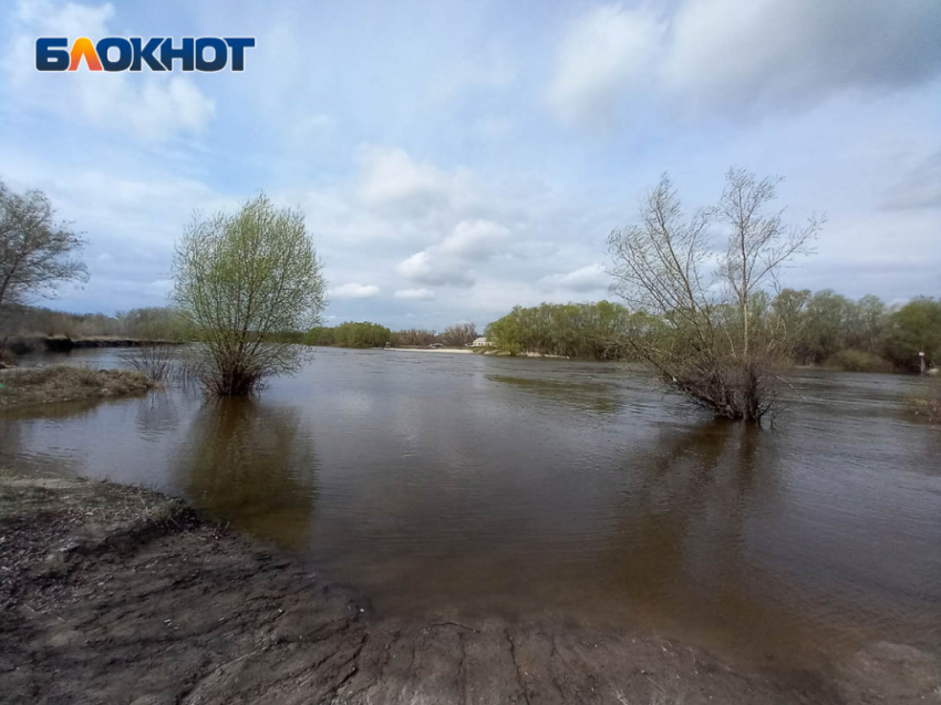 Незаконная рыбалка довела волгоградца до потери автомобиля