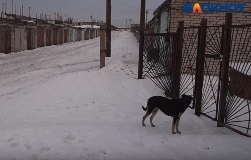 Мужчина замерз насмерть в пяти метрах от дома в Волгоградской области 