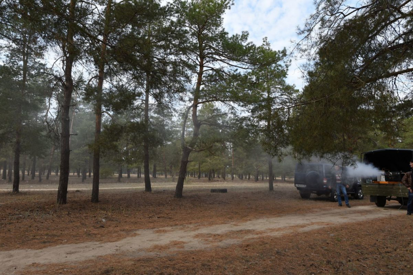 Ядовитые облака распылили по лесам Волгоградской области