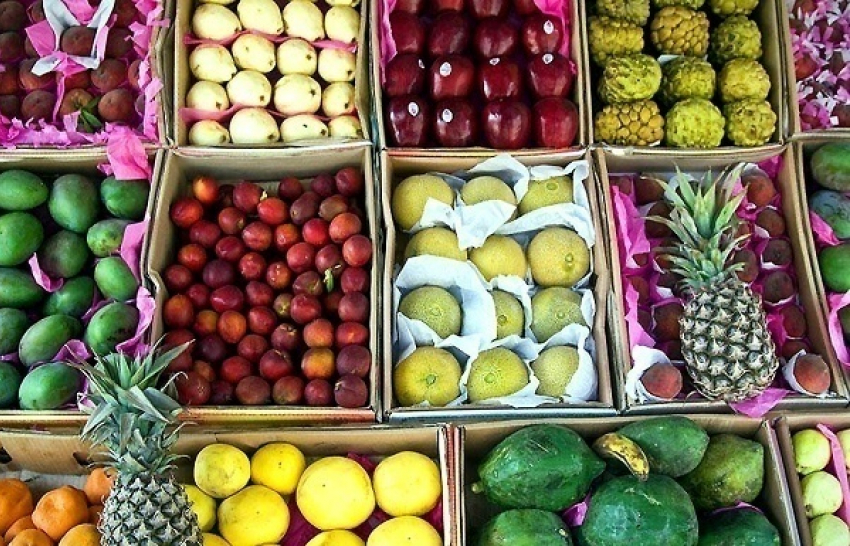 Турецкие фрукты на прилавках Волгограда заменят продуктами из Египта 