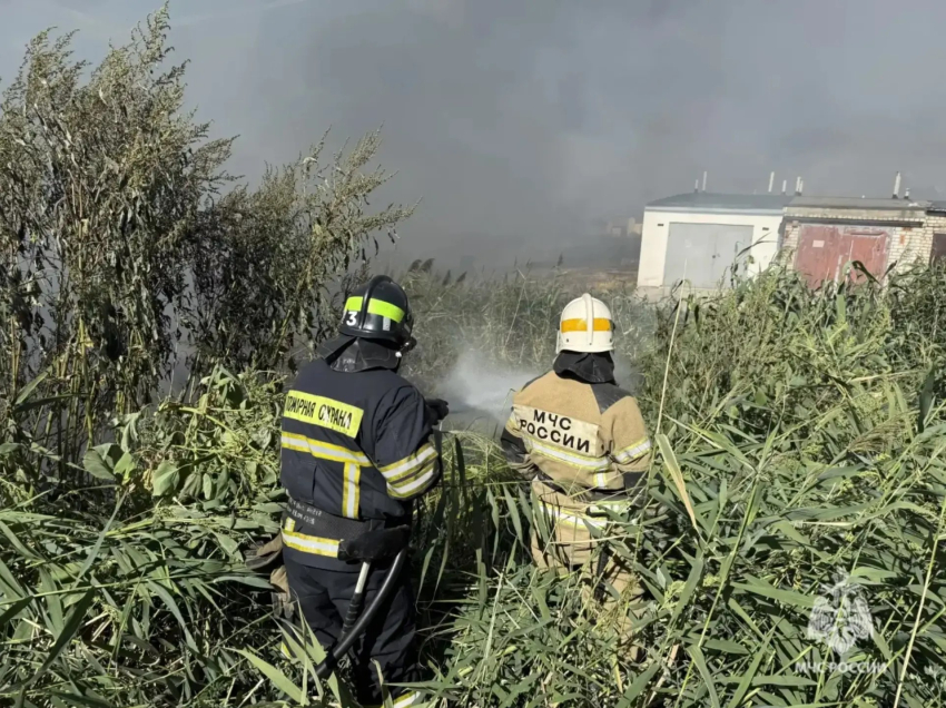 Крупный пожар у гаражного кооператива вспыхнул в Волгограде 
