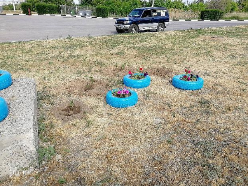 Голубые шины украсили Волгоград