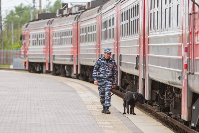 Волгоградцу грозит 10 лет колонии за прополку станции поезда от конопли