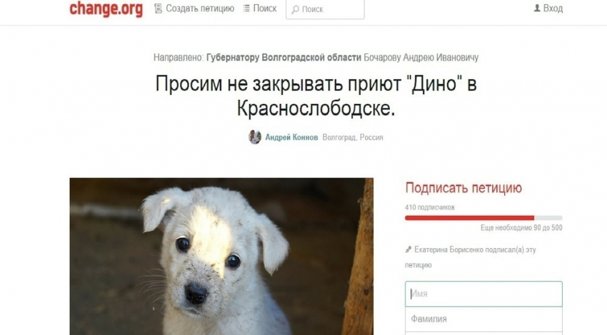 Волгоградцы подписывают петицию, чтобы спасти приют для животных «Дино»