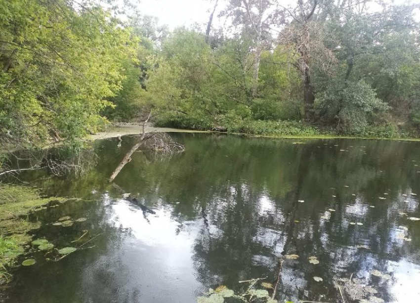 Переменная облачность, дождь и гроза: середина августа наступила в Волгограде