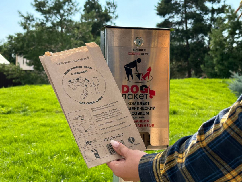Бесплатные пакеты для собачьих фекалий появились в Волгограде