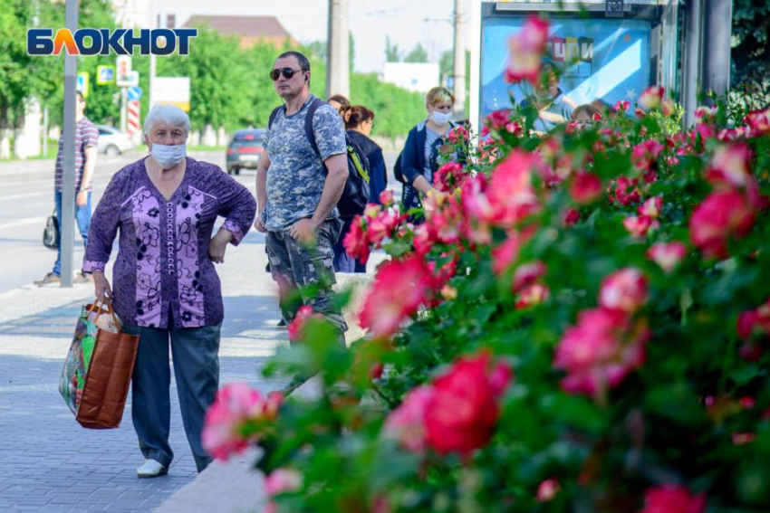 Волгоградская область стала 18-й в России по числу заболевших коронавирусом