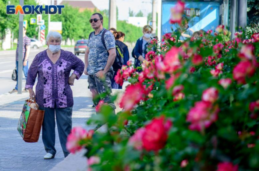 В Волгограде в Жилгородке готовятся продлить троллейбусный маршрут №15а