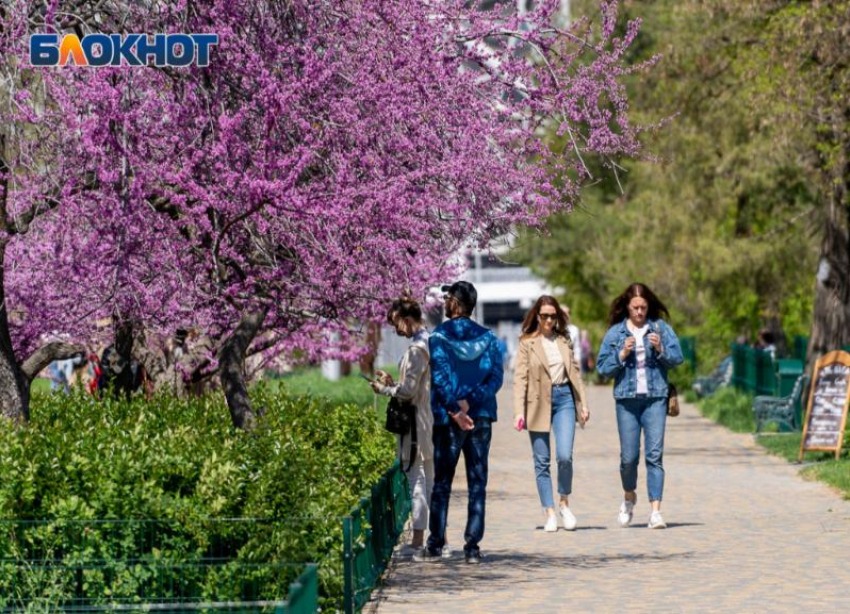  Кратковременные дожди и ветрено: погода на День Победы в Волгограде