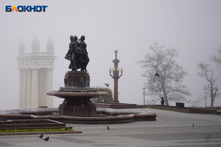 Доходы у Тельцов и траты у Близнецов: гороскоп для волгоградцев 