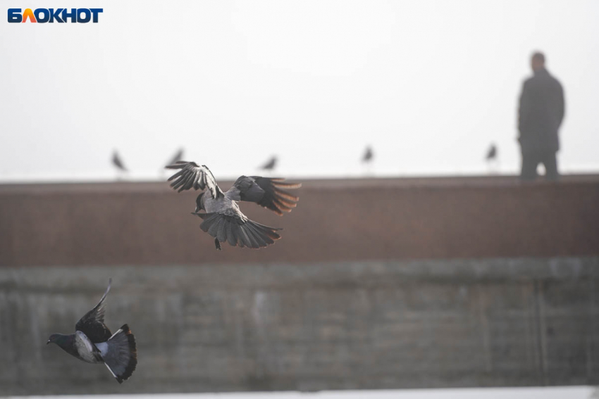  5-балльная магнитная буря надвигается на Волгоград