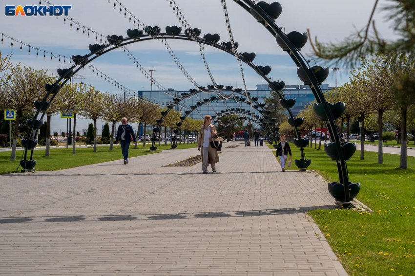 О смертельно опасных малярии и желтой лихорадке предупредили волгоградских туристов 