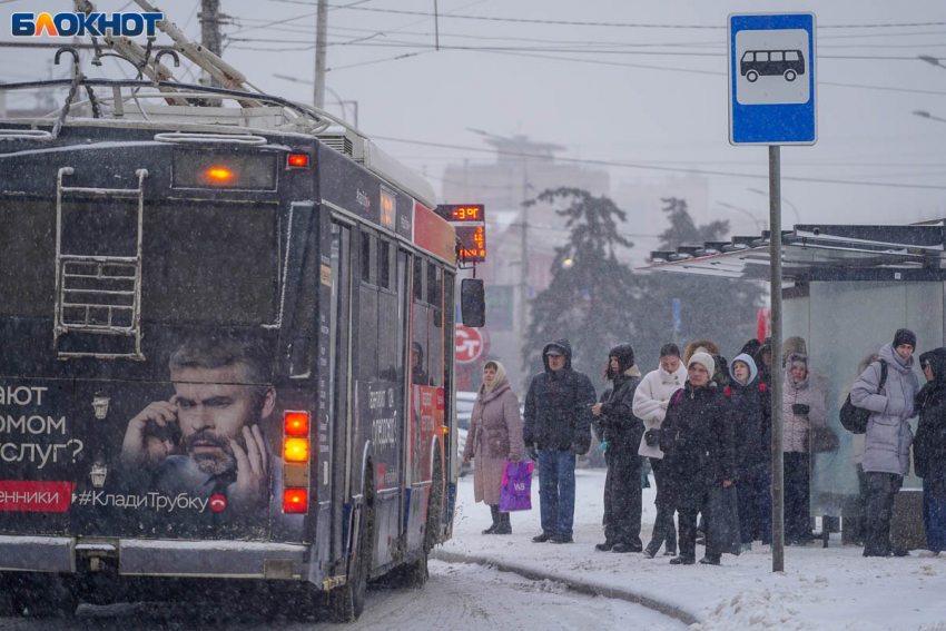 "Не сбой это, а целенаправленное замедление": к блокировке телеграма готовятся в России 