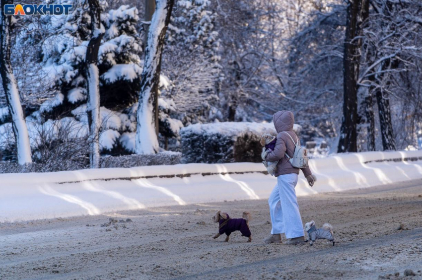 Две погодные угрозы объявлены в Волгоградской области 23 февраля